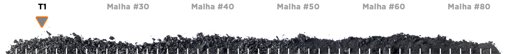 Granularidade dos produtos - Pó de Raspa T1