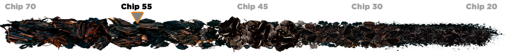 Granularidade dos produtos Chip 55